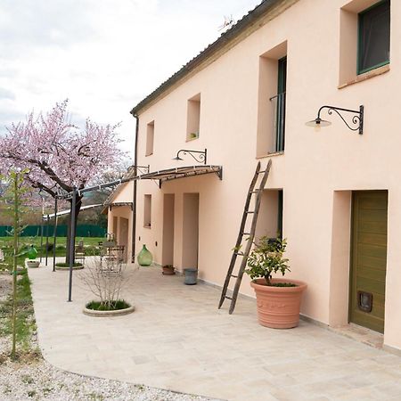 B&B Le Rondini Ostra Senigallia Casine  Dış mekan fotoğraf