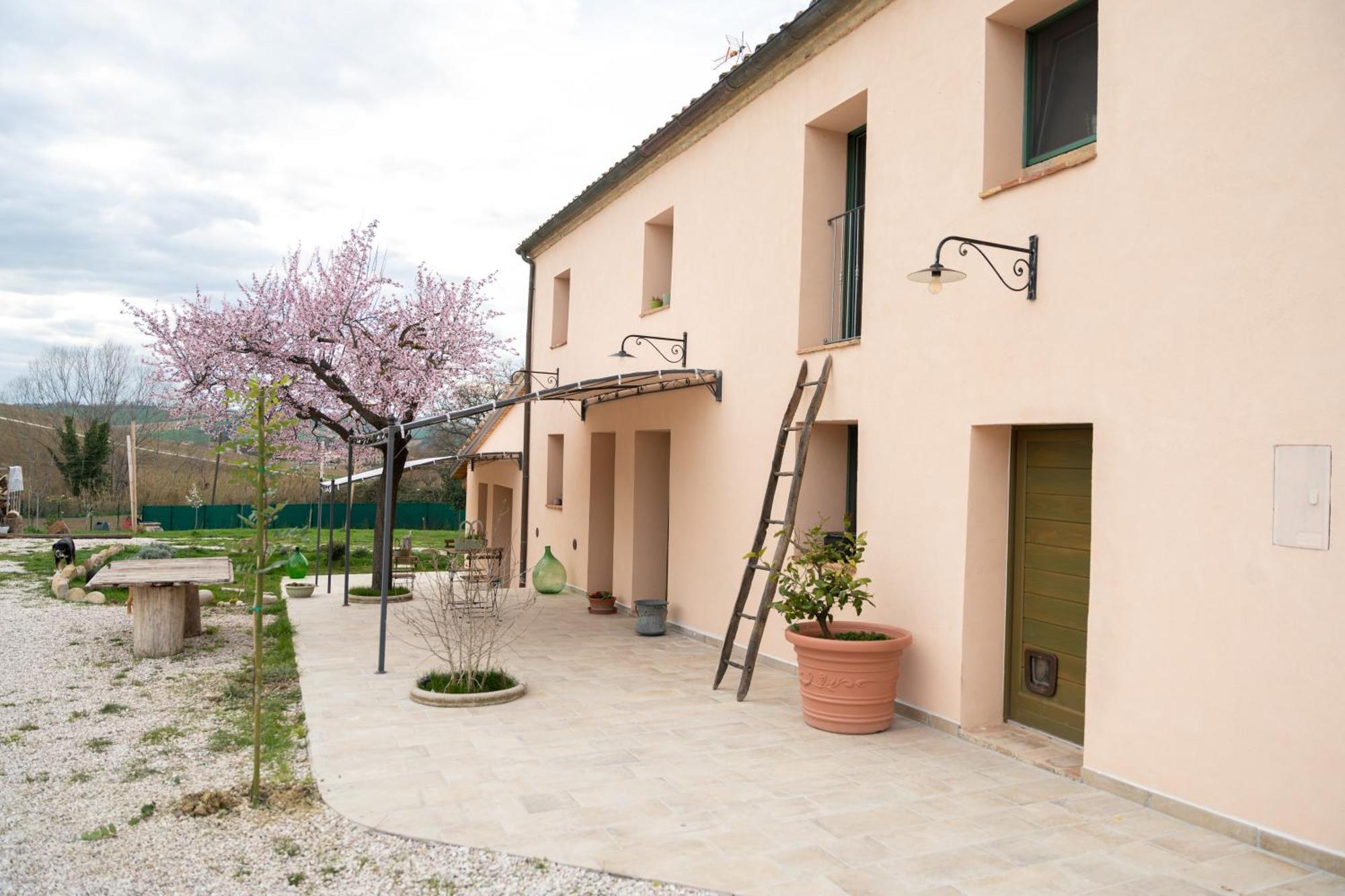 B&B Le Rondini Ostra Senigallia Casine  Dış mekan fotoğraf