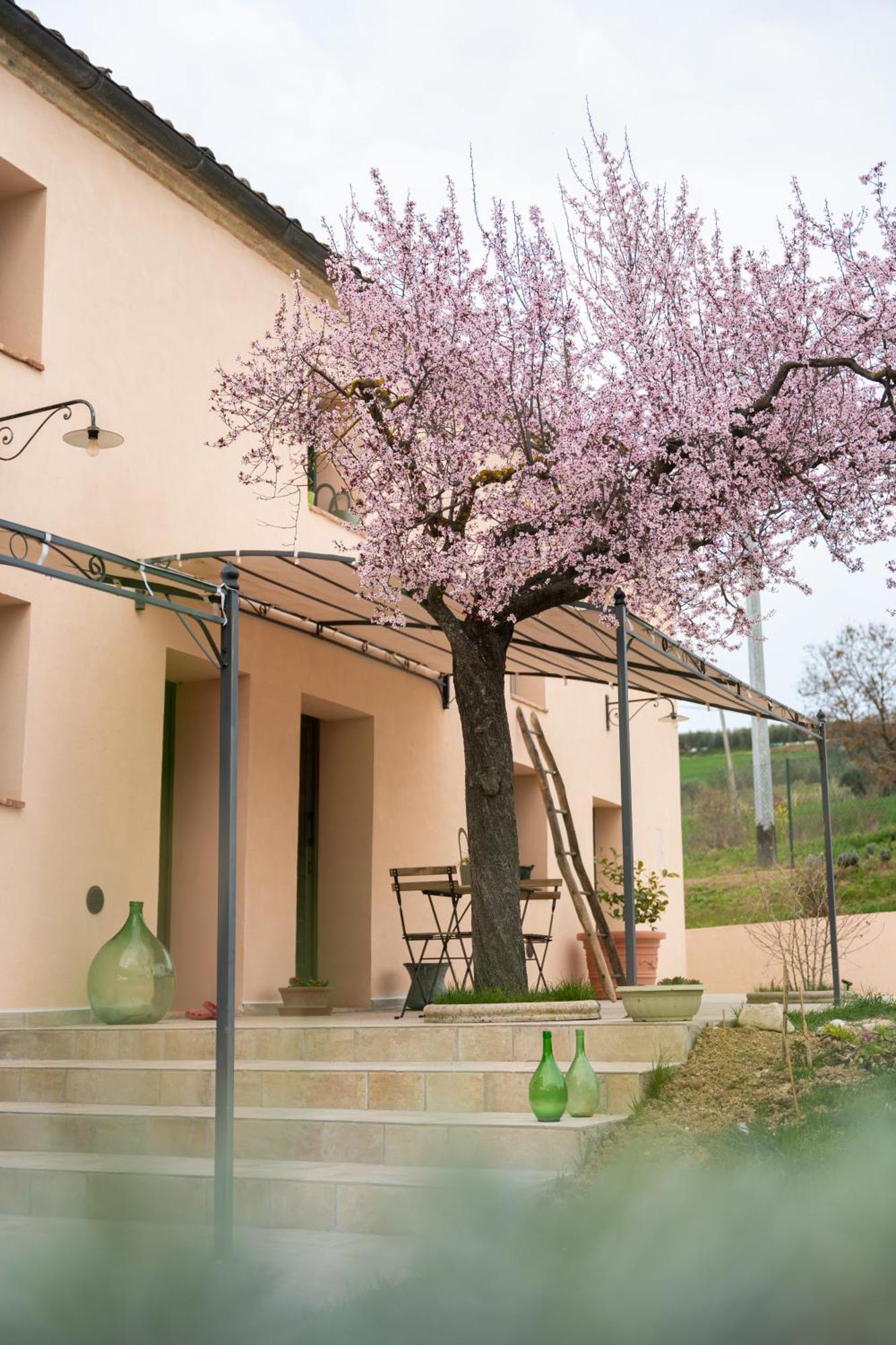 B&B Le Rondini Ostra Senigallia Casine  Dış mekan fotoğraf